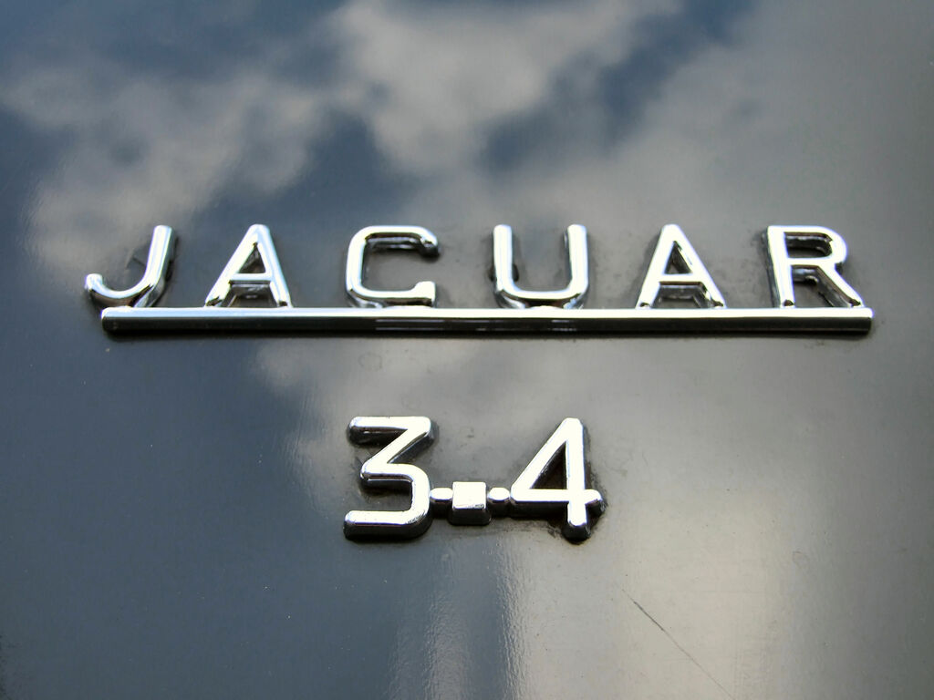 jaguar à Vannes 1 : Jaguar (17).JPG