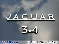 jaguar à Vannes 1 : Jaguar (17).JPG