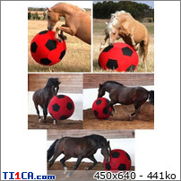 img http://mk1.ti1ca.com/nfgarl9v.jpg /img