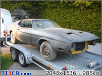 MUSTANG : MUSTANG-P1100583.JPG