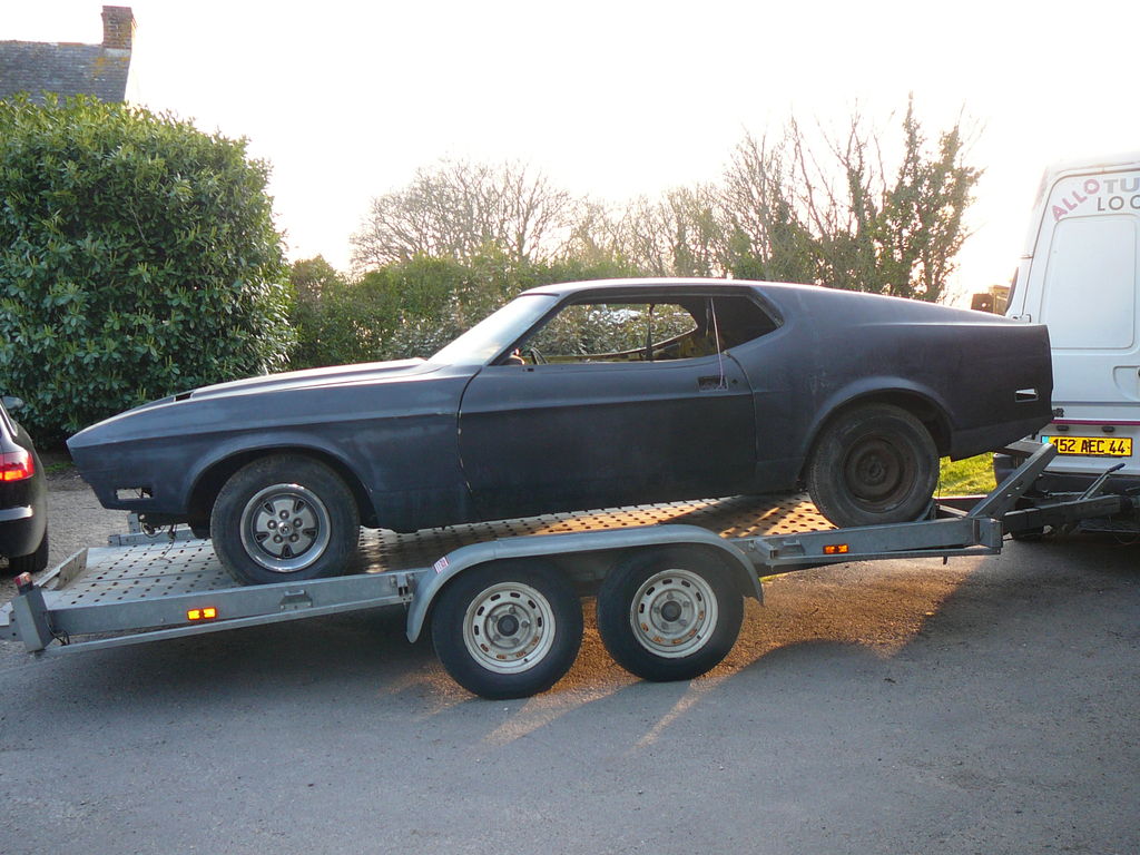 MUSTANG : MUSTANG-P1100580.JPG