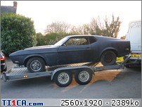 MUSTANG : MUSTANG-P1100580.JPG