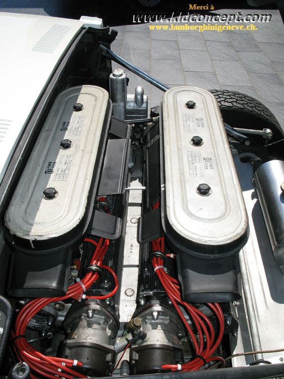 Muria G White : IMG_1160.jpg