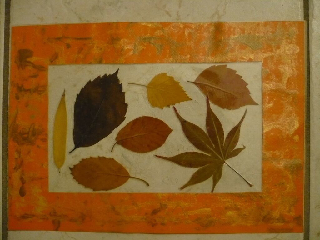 cadre feuilles : cadre feuilles.JPG