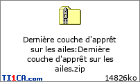 Dernière couche d'apprêt sur les ailes : Dernière couche d'apprêt sur les ailes.zip