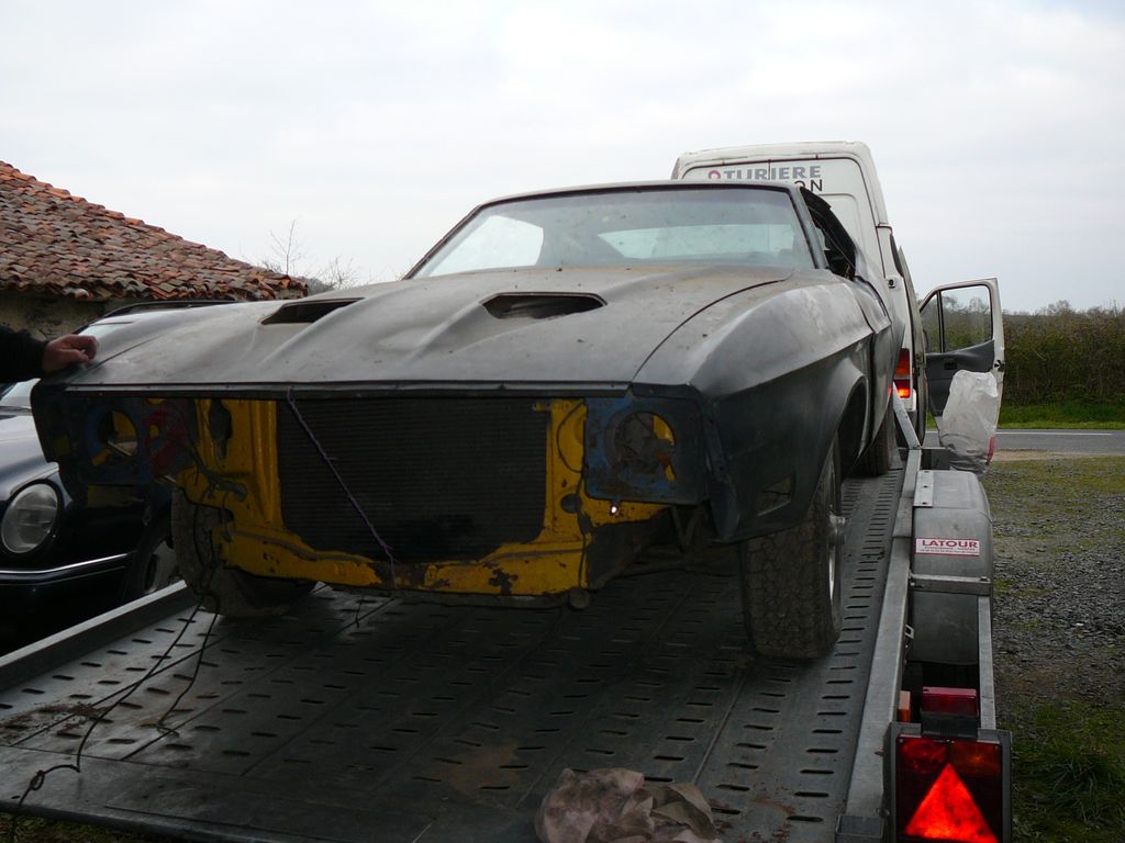 MUSTANG : MUSTANG-P1100575.JPG
