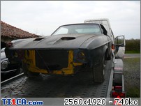 MUSTANG : MUSTANG-P1100575.JPG