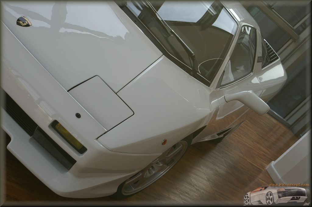 protos lambo : Pict1616.jpg