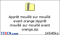 Apprêt mouillé sur mouillé avant orange : Apprêt mouillé sur mouillé avant orange.zip