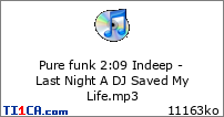 Pure funk 2 : 09 Indeep - Last Night A DJ Saved My Life.mp3
