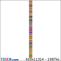 img http://mk1.ti1ca.com/wjycc3qp.jpg /img