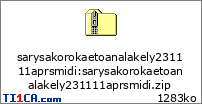 sarysakorokaetoanalakely231111aprsmidi : sarysakorokaetoanalakely231111aprsmidi.zip