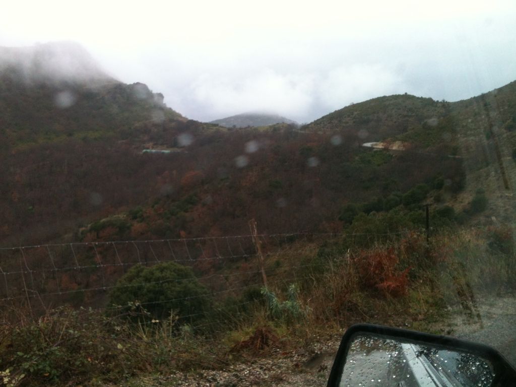 IMG 0536 : IMG_0536.JPG