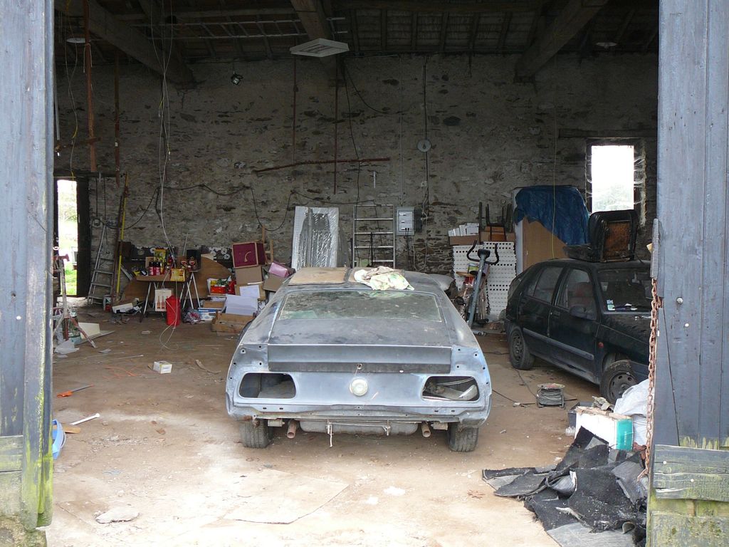 MUSTANG : MUSTANG-P1100569.JPG