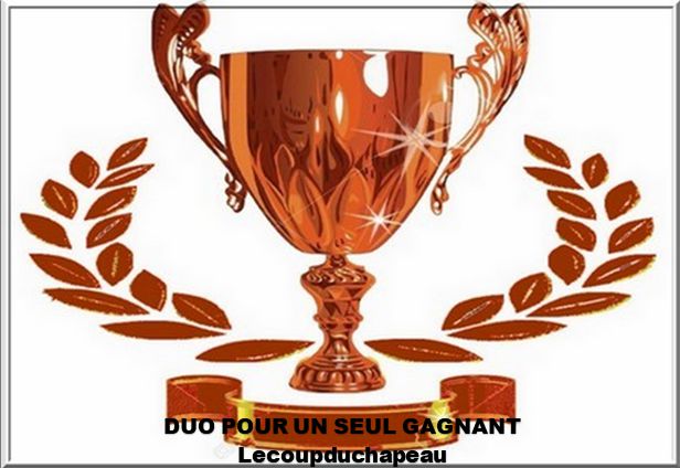 trophée Duo bronze : trophée Duo bronze.png