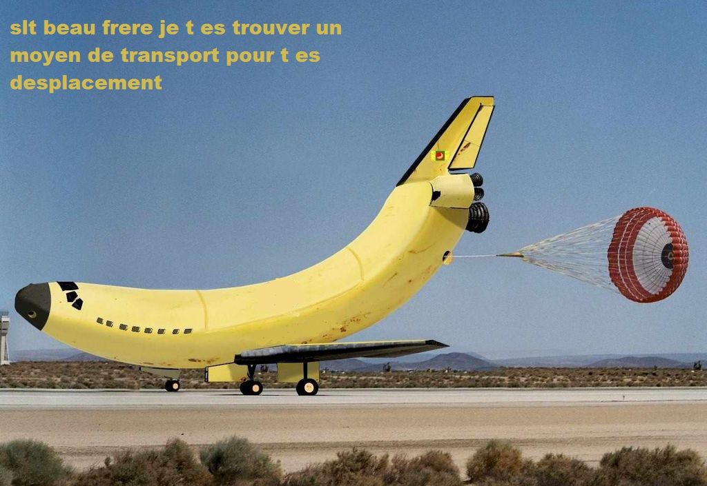 avion banane : avion_banane.jpg