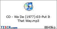 CO - Wa Da (1977) : 03-Put It That Way.mp3