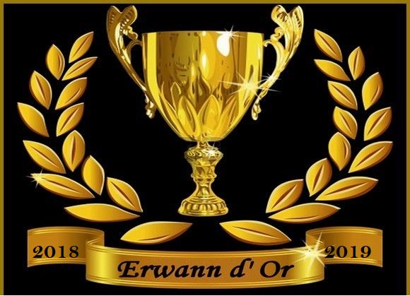 Erwann d'Or 2018-2019 : Erwann d'Or 2018-2019.png
