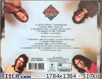 FREE - Free At Lasr by TheZepphil : back.jpg