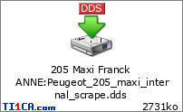 205 Maxi Franck ANNE : Peugeot_205_maxi_internal_scrape.dds