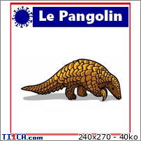 img https://mk1.ti1ca.com/w4avgycn.jpg /img